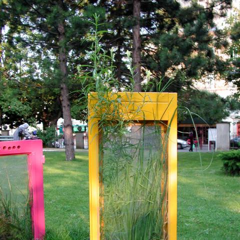 Spring Windows (detail)