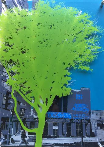 Urban Tree - Révéloution